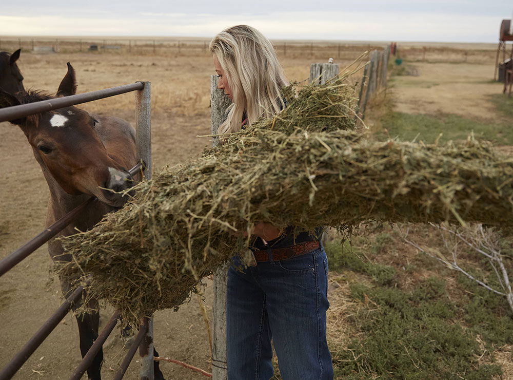 A blonde woman standing at a gate, holding alfalfa hay, feeding two brown horses.